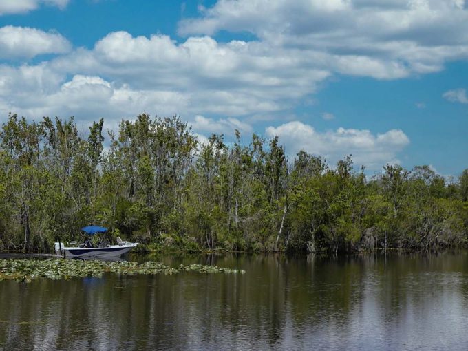 boat on the river surrounded by trees