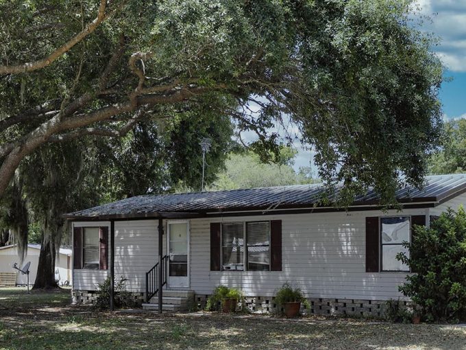 home shaded by large tree